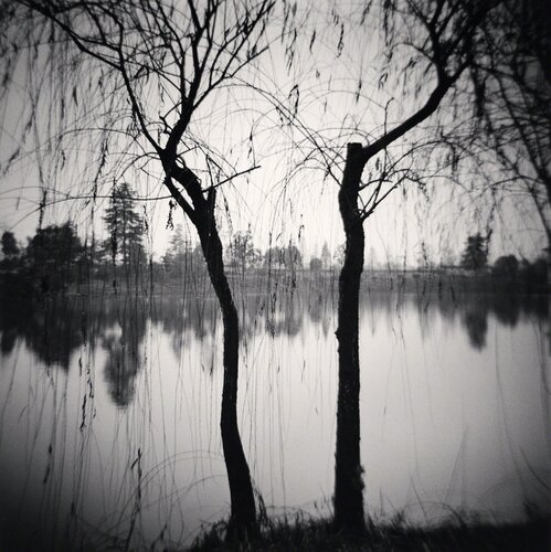Afternoon Trees, Shexian, Anhui, China van Michael Kenna, Fotografie te koop op Singulart