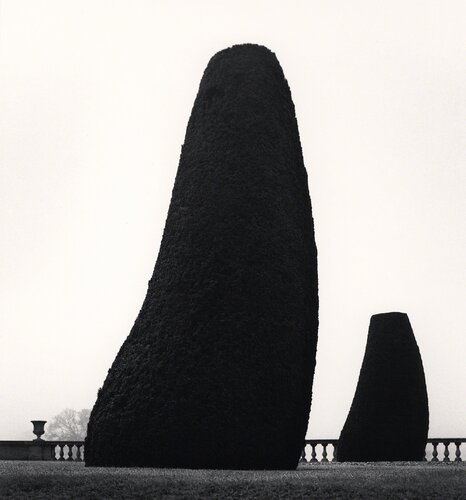 Bowood Gardens, Study 2, Wiltshire, England van Michael Kenna, Fotografie te koop op Singulart