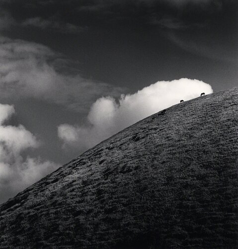 Seven Horses, Iti Maunga, Easter Island van Michael Kenna, Fotografie te koop op Singulart