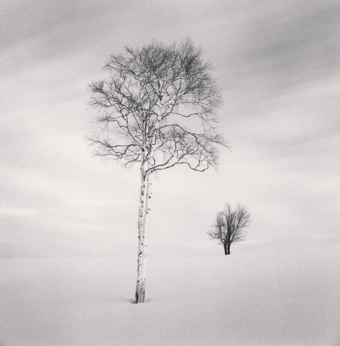 Twin Shirakanbas, Sorachi, Hokkaido, Japan van Michael Kenna, Fotografie te koop op Singulart