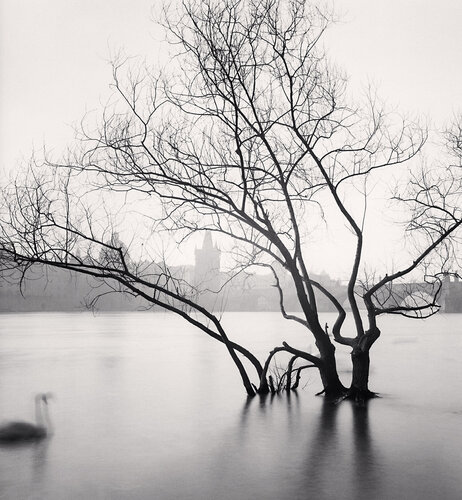 Swan Song, Prague, Czech Republic van Michael Kenna, Fotografie te koop op Singulart