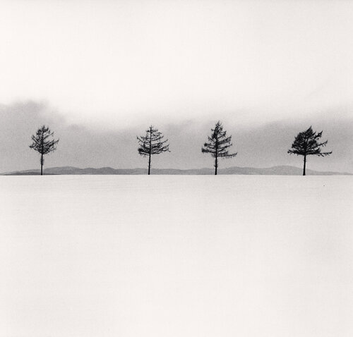 Kurosawa's Trees, Study 3, Memanbetsu, Hokkaido, Japan di Michael Kenna, Fotografia in vendita su Singulart
