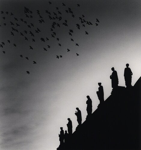 One Hundred and Five Birds, Prague, Czechoslovakia di Michael Kenna, Fotografia in vendita su Singulart