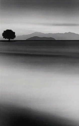 Biwa Lake Tree, Omi, Japan di Michael Kenna, Fotografia in vendita su Singulart