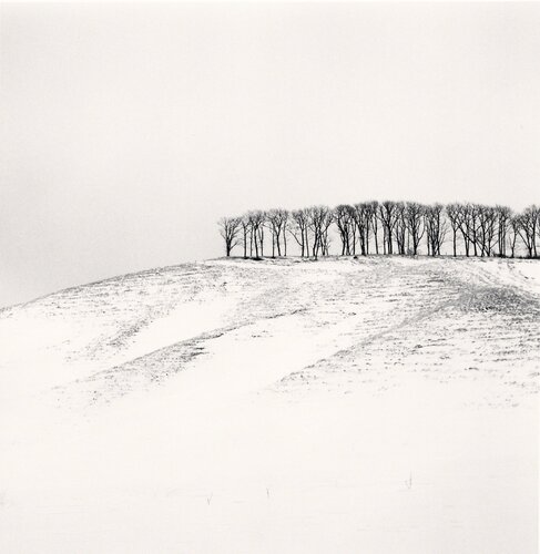 Hilltop Trees, Study 4, Teshikaga, Hokkaido di Michael Kenna, Fotografia in vendita su Singulart
