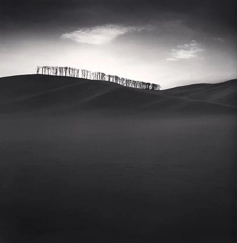 Hilltop Trees, Study 2, Teshikaga, Hokkaido, Japan di Michael Kenna, Fotografia in vendita su Singulart