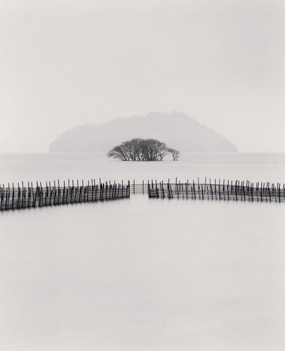 Submerged Trees, Kohoku, Honshu, Japan. di Michael Kenna, Fotografia in vendita su Singulart