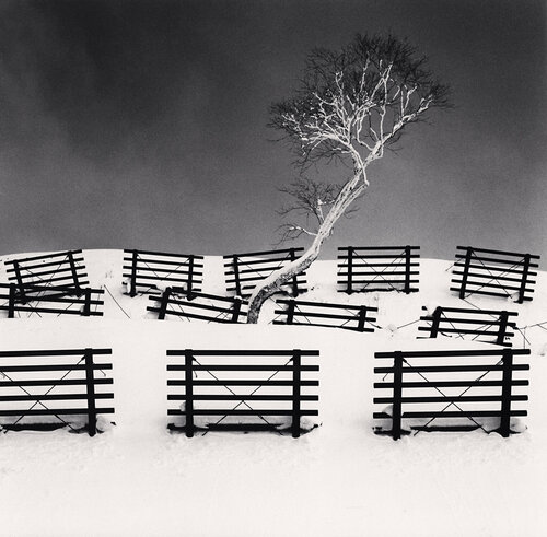 Thirty One Snow Fences, Bihoro, Hokkaido, Japan di Michael Kenna, Fotografia in vendita su Singulart