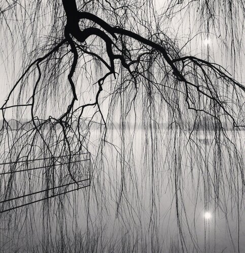 Lake Tree, Beihai Park, Beijing, China di Michael Kenna, Fotografia in vendita su Singulart