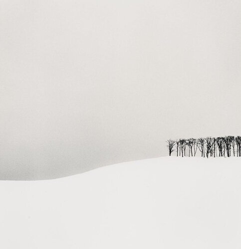 Hilltop Trees, Teshikaga, Hokkaido, Japan di Michael Kenna, Fotografia in vendita su Singulart