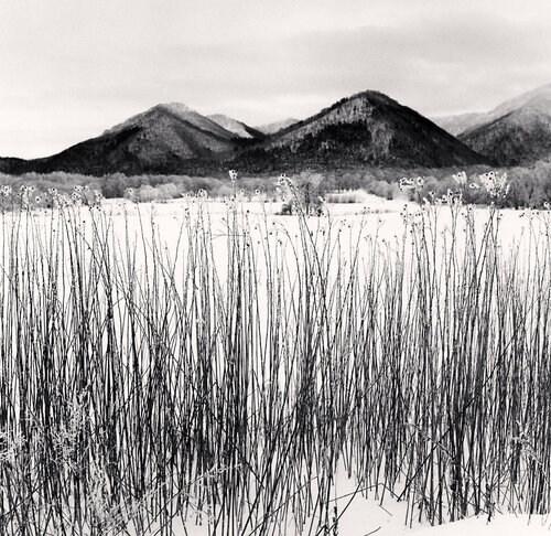 Frozen Itadori, Hokkaido, Japan di Michael Kenna, Fotografia in vendita su Singulart