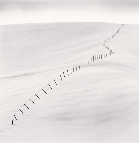 Hillside Fence, Study 7, Teshikaga, Hokkaido, Japan. di Michael Kenna, Fotografia in vendita su Singulart