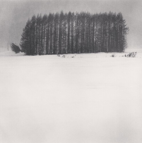 Trees in Snowstorm, Wakoto, Hokkaido, Japan di Michael Kenna, Fotografia in vendita su Singulart