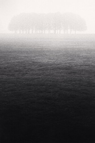 Trees, Richmond, Surrey, England. di Michael Kenna, Fotografia in vendita su Singulart