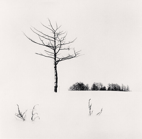White Landscape, Abashiri, Hokkaido, Japan di Michael Kenna, Fotografia in vendita su Singulart