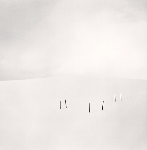 Asparagus Sticks, Study 3, Hokkaido, Japan di Michael Kenna, Fotografia in vendita su Singulart