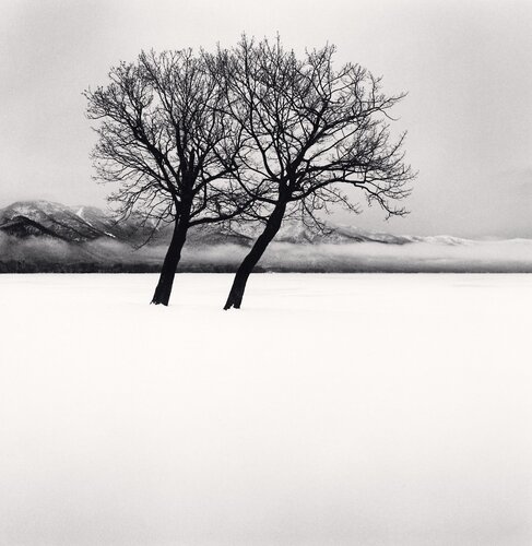 Dancing Trees, Kussharo Lake, Hokkaido, Japan di Michael Kenna, Fotografia in vendita su Singulart