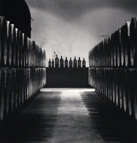 Château Lafite Rothschild, Study 22, Bordeaux, France van Michael Kenna, Fotografie te koop op Singulart