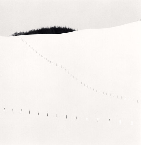 Hillside Fence, Study 9, Teshikaga, Hokkaido, Japan. 2023 van Michael Kenna, Fotografie te koop op Singulart