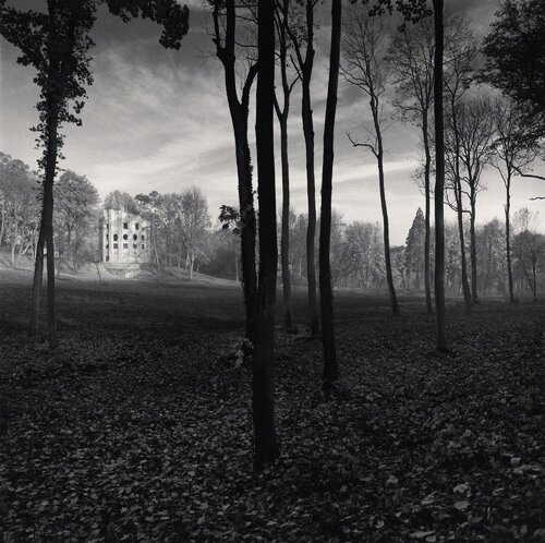 Le Desert de Retz, Study 8, France van Michael Kenna, Fotografie te koop op Singulart