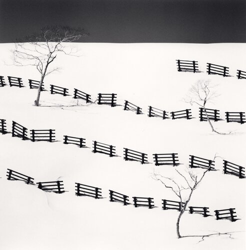Fifty Fences, Taisetsu, Hokkaido, Japan. van Michael Kenna, Fotografie te koop op Singulart