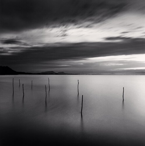 Sticks in Water, Shinji Lake, Honshu, Japan. van Michael Kenna, Fotografie te koop op Singulart
