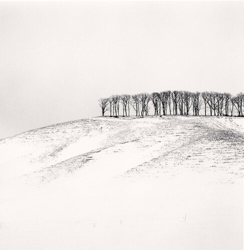 Hilltop Trees, Study 4, Teshikaga, Hokkaido di Michael Kenna, Fotografia in vendita su Singulart