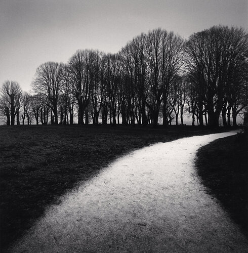 Moonlit Path, Vezelay, France di Michael Kenna, Fotografia in vendita su Singulart