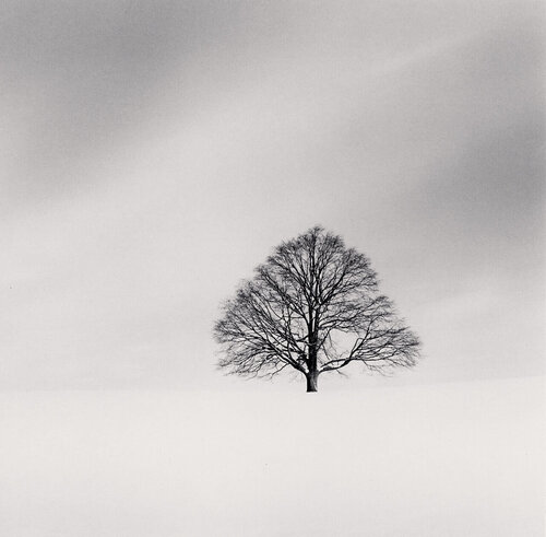 Cikisani Kamuy, Study 2, Sorachi, Hokkaido, Japan di Michael Kenna, Fotografia in vendita su Singulart