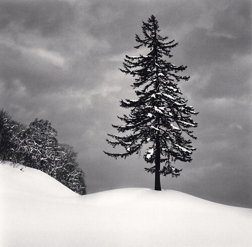 Spruce Tree and Snow Clouds, Esashi, Hokkaido, Japan di Michael Kenna, Fotografia in vendita su Singulart