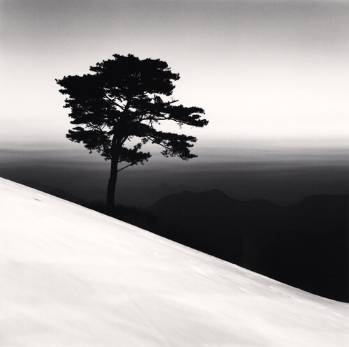 Mountain Tree, Danyang, Chungcheongbukdo, South Korea di Michael Kenna, Fotografia in vendita su Singulart
