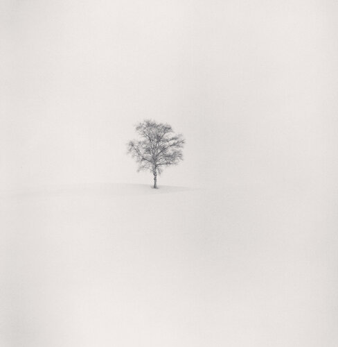 Field of Snow, Biei, Hokkaido, Japan di Michael Kenna, Fotografia in vendita su Singulart