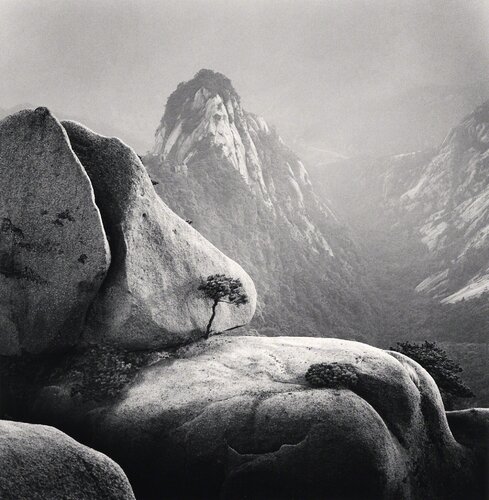 Huangshan Mountains, Study 27, Anhui, China. di Michael Kenna, Fotografia in vendita su Singulart