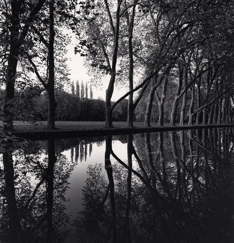 Allée d'Honneur, Courances, France. di Michael Kenna, Fotografia in vendita su Singulart