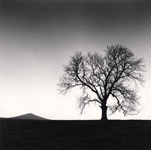 Mt. Cloud and Savior-Tree, Derbyshire, England di Michael Kenna, Fotografia in vendita su Singulart