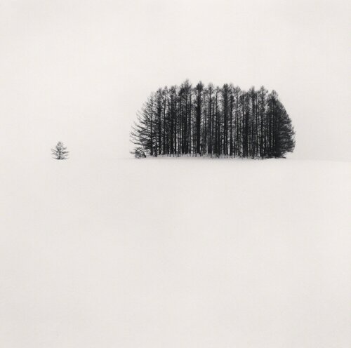 Copse and Tree, Mita, Hokkaido, Japan di Michael Kenna, Fotografia in vendita su Singulart