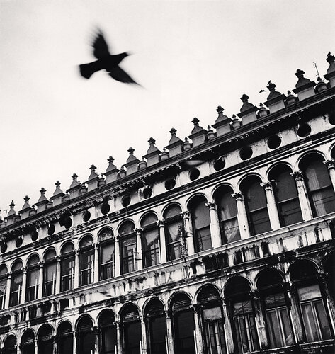 Flying Bird over San Marco, Venice, Italy di Michael Kenna, Fotografia in vendita su Singulart