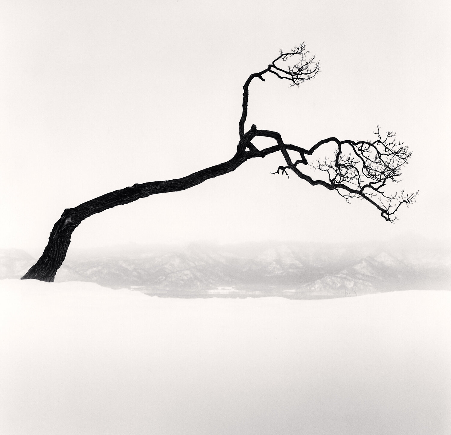 Kussharo Lake Tree, Study 9, Kotan, Hokkaido, Japan Michael Kenna Fotografie zu verkaufen