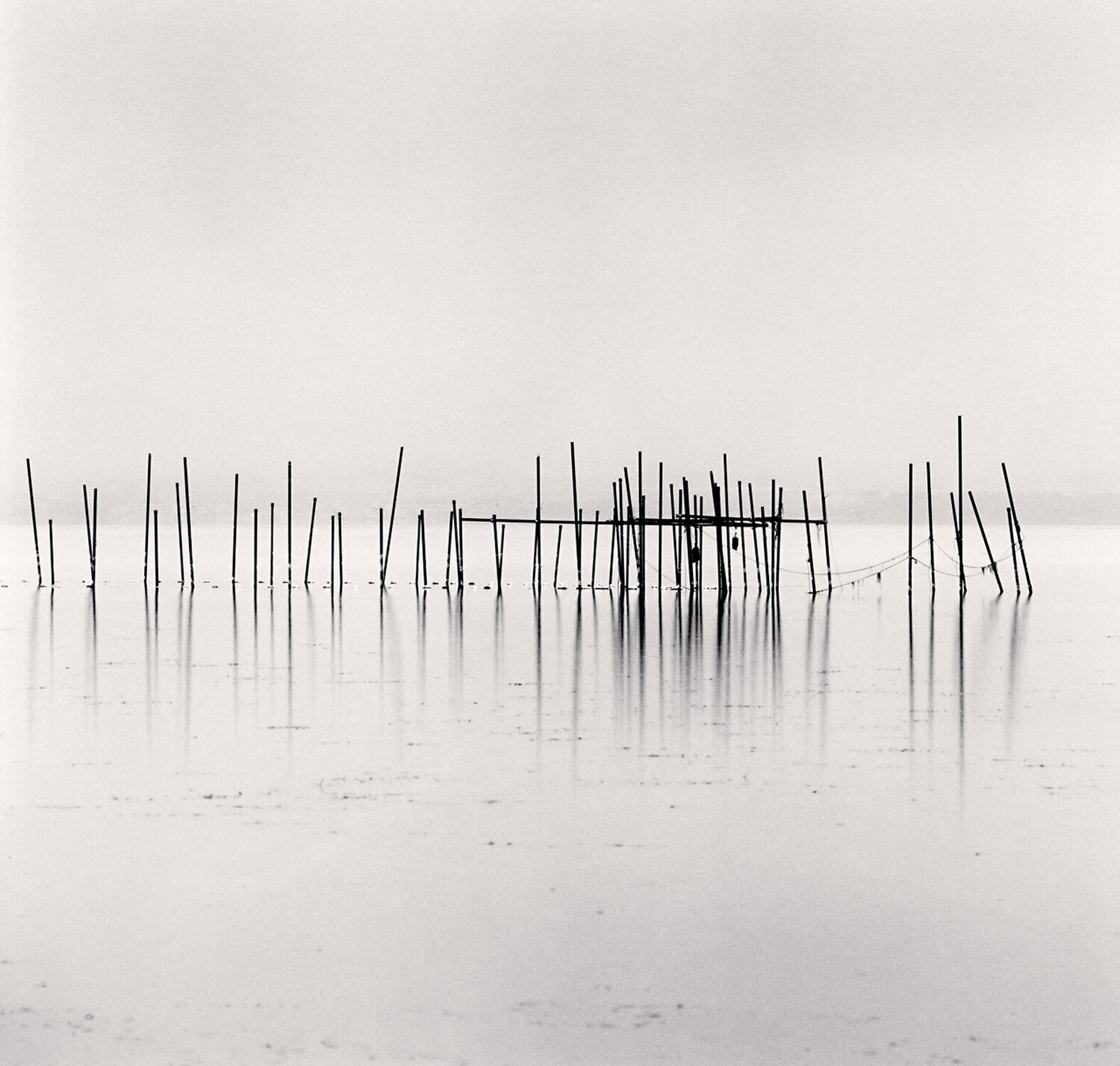 Sixty Five Posts, Biwa Lake, Honshu, Japan Michael Kenna