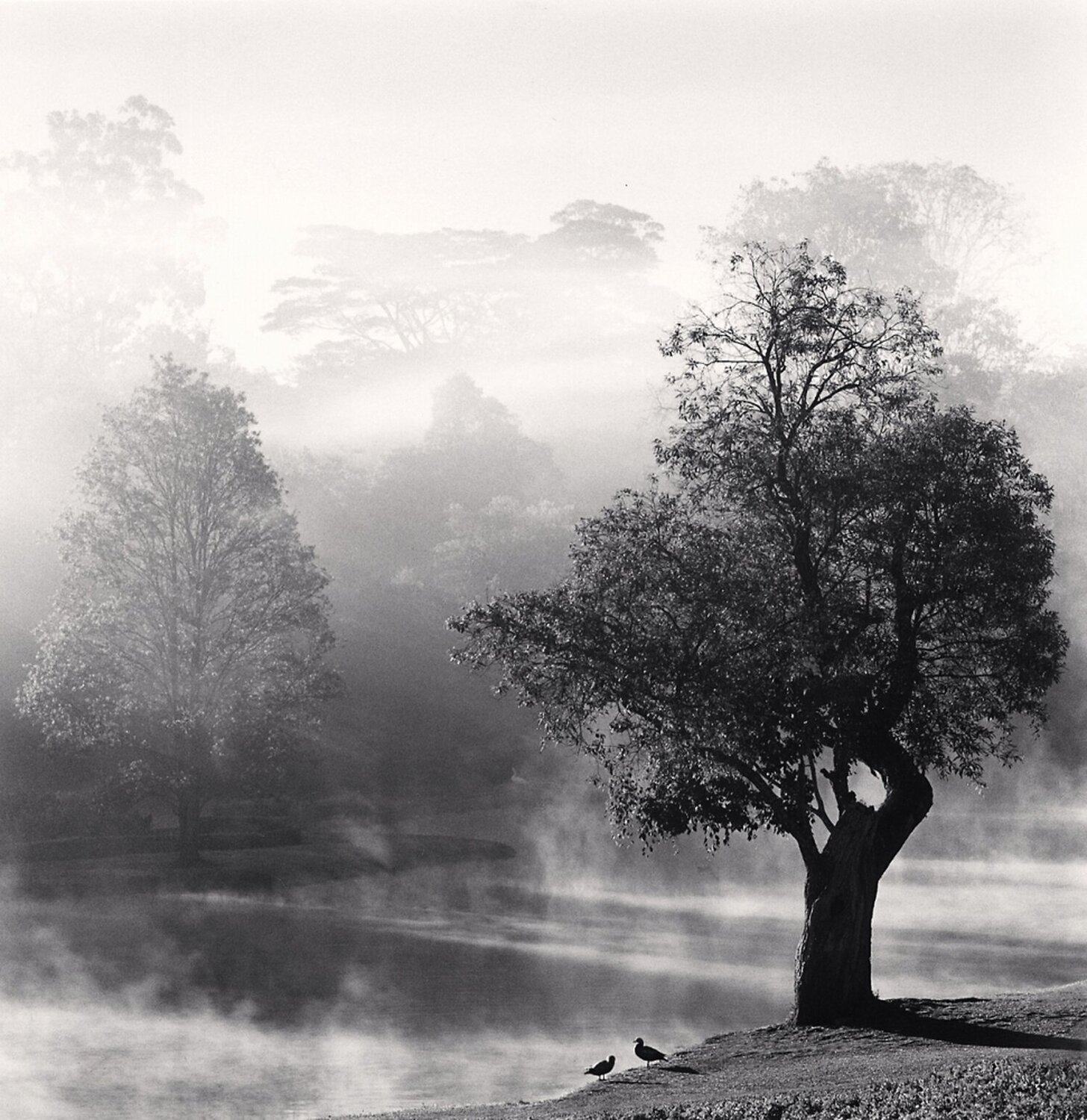 Morning Mists, Pyin U Lwin, Myanmar Michael Kenna
