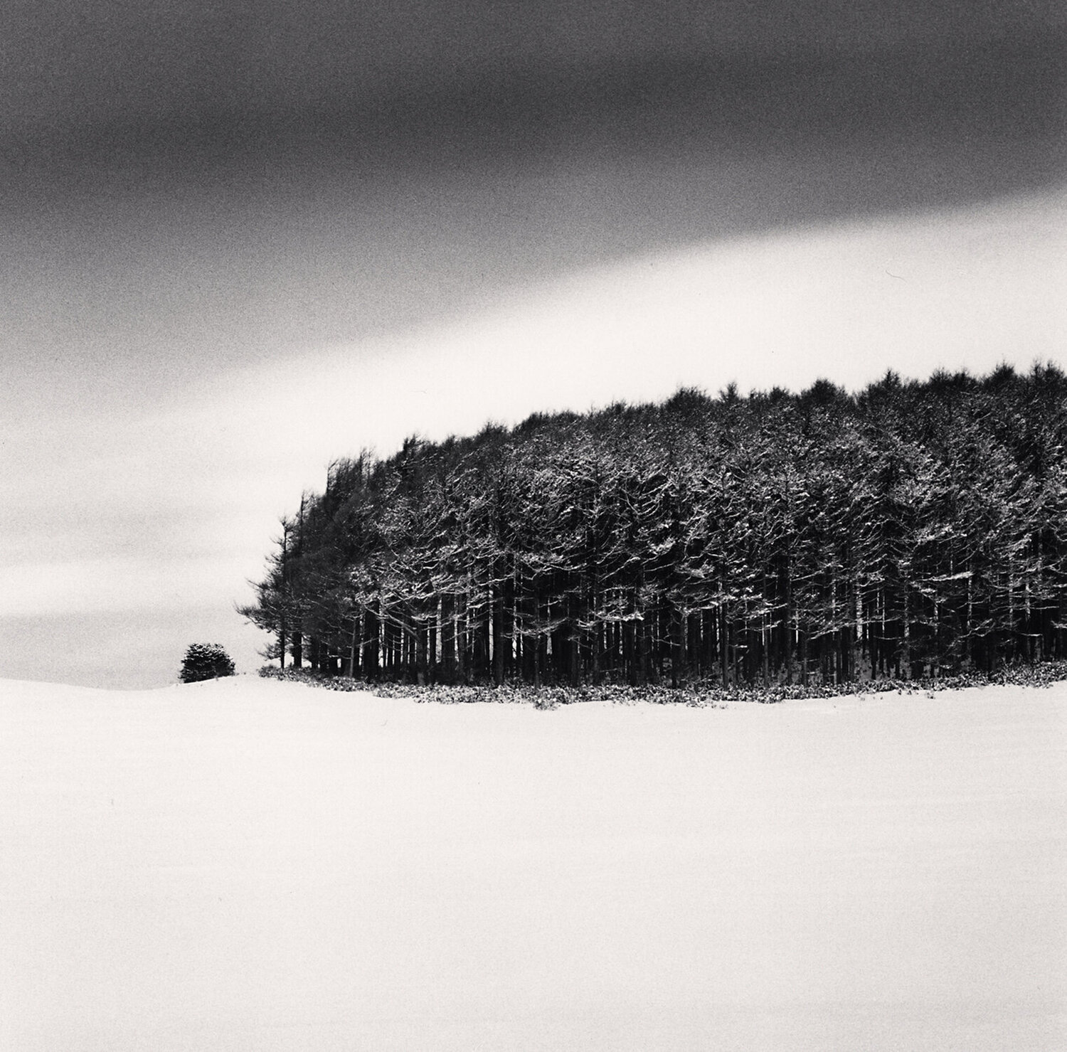 White Copse, Study 4, Wakkanai, Hokkaido, Japan Michael Kenna Fotografie zu verkaufen