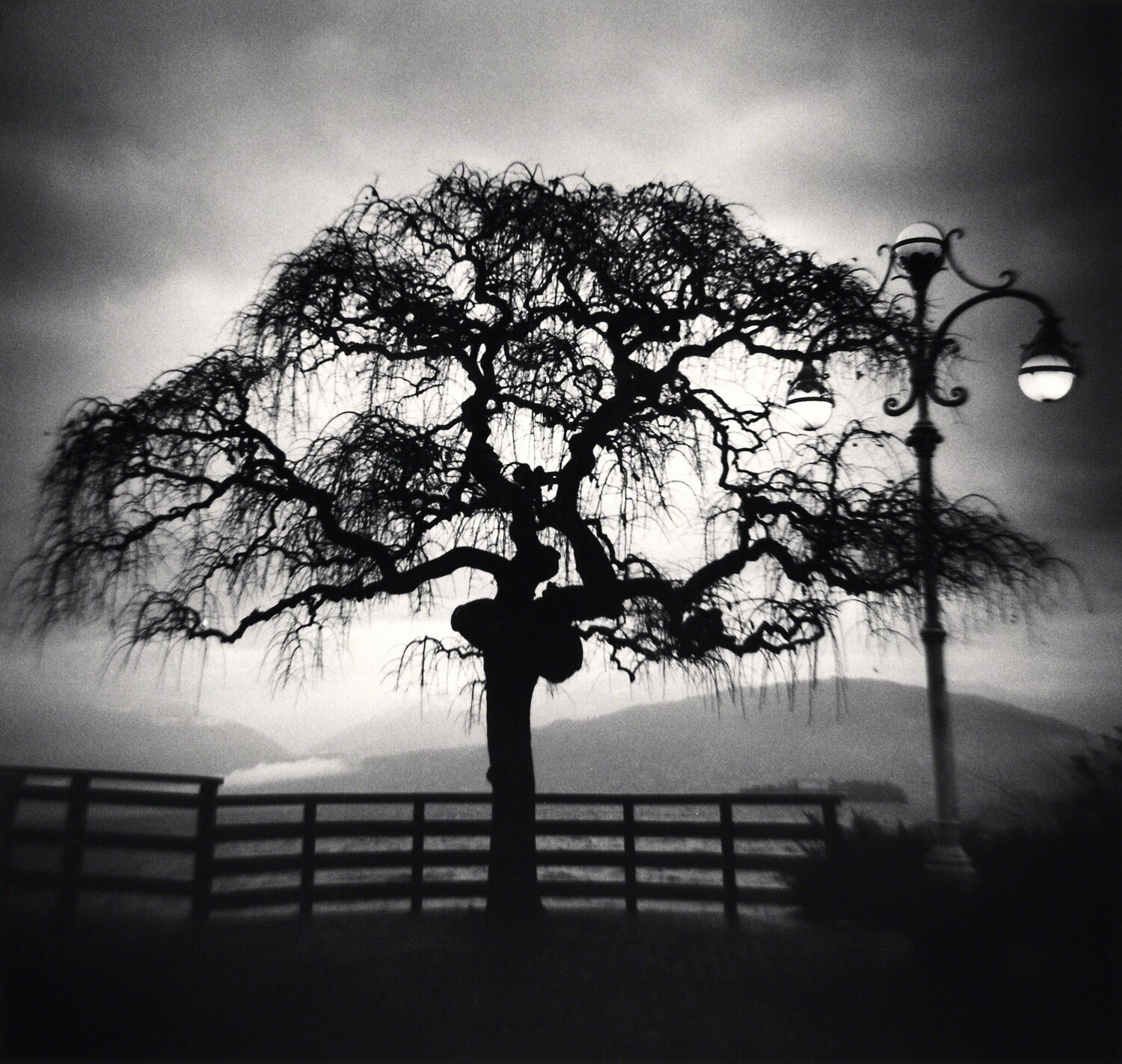 Tree and Lamp, Stresa, Lake Maggiore, Italy Michael Kenna Fotografie zu verkaufen