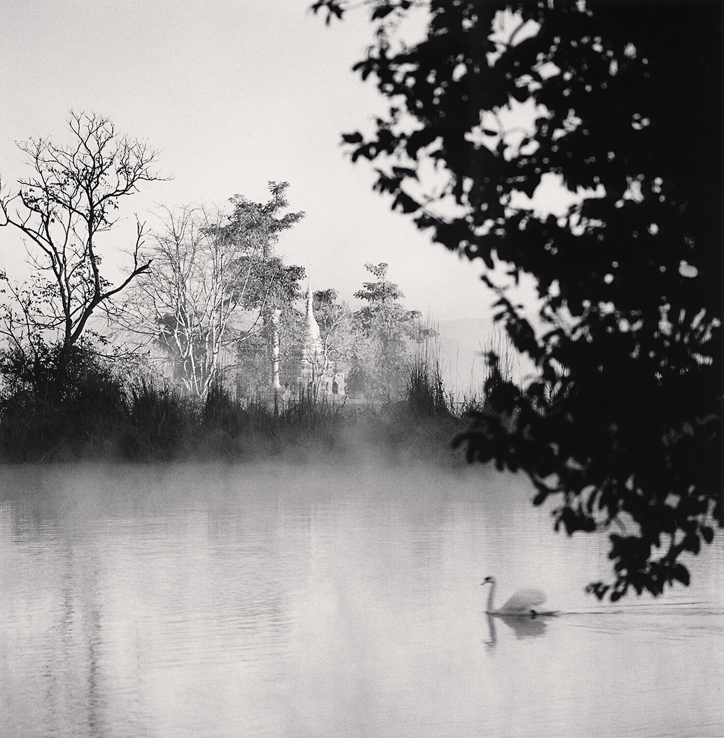 Swan on Lake, Pyin U Lwin, Myanmar Michael Kenna