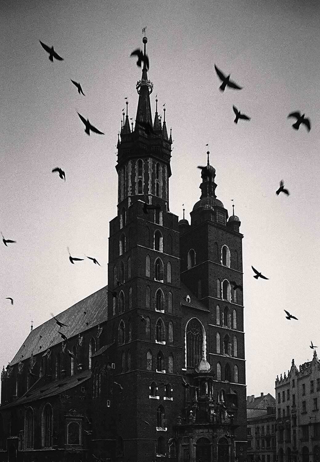 St. Mary's Basilica and Flying Birds, Krakow, Poland Michael Kenna Fotografie zu verkaufen