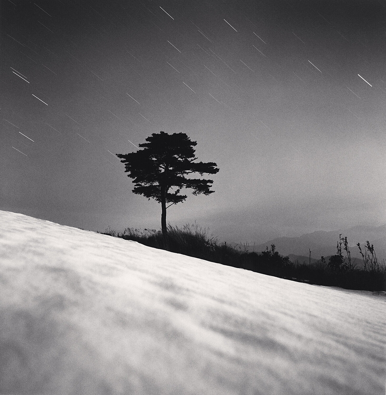 Mountain Tree, Study 2, Danyang, Chungcheongbukdo, South Korea Michael Kenna