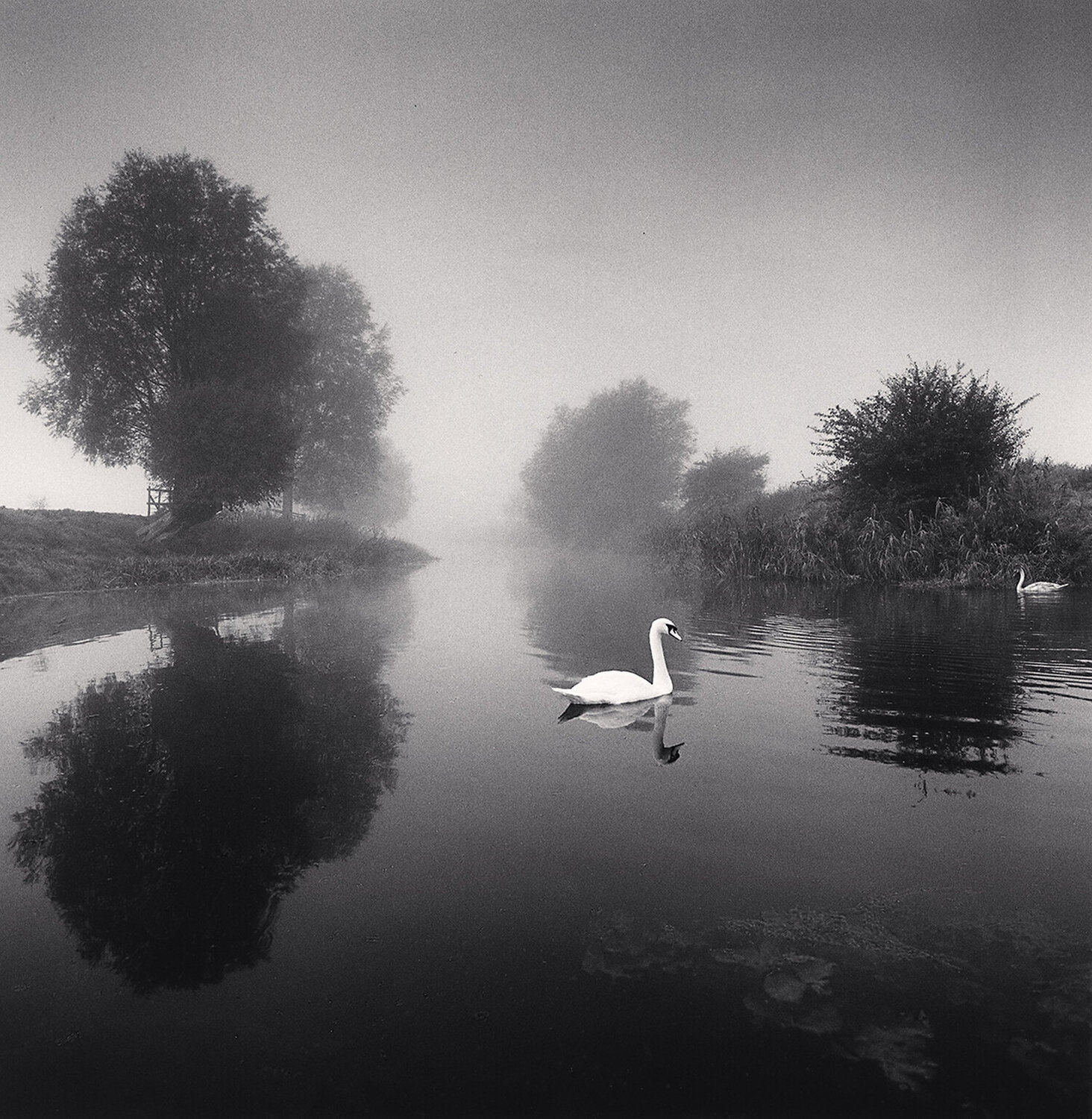 Two Swans, Wolverton, Buckinghamshire, England Michael Kenna
