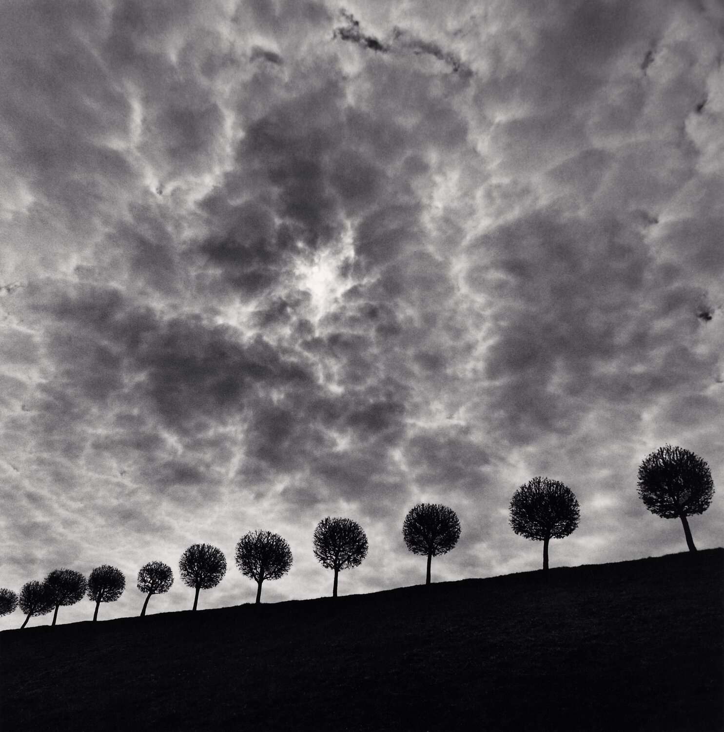 Ten and a Half Trees, Peterhof, Russia. Michael Kenna