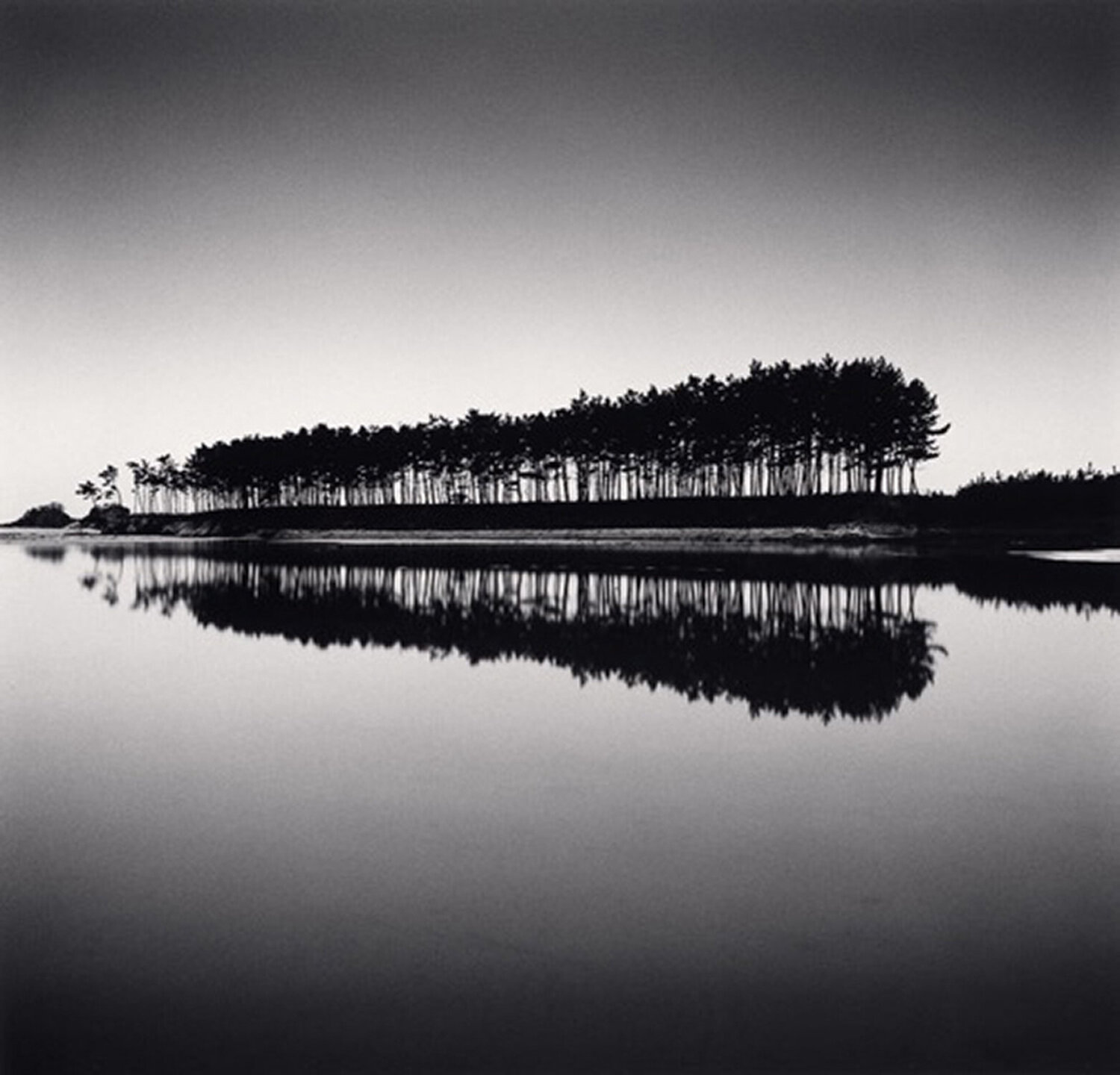 Pine Trees, Study 5, Unyeo Beach, Chungnam, South Korea Michael Kenna