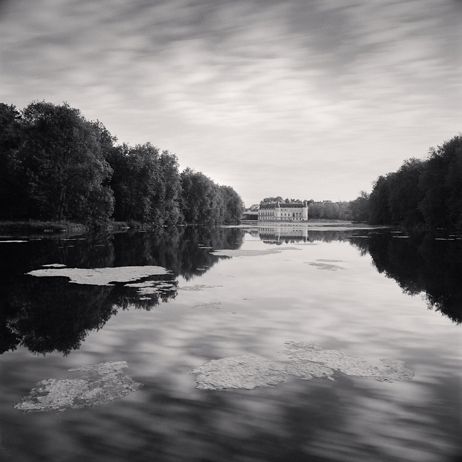 Château, Study 8, Rambouillet, Yvelines, France Michael Kenna Fotografie zu verkaufen