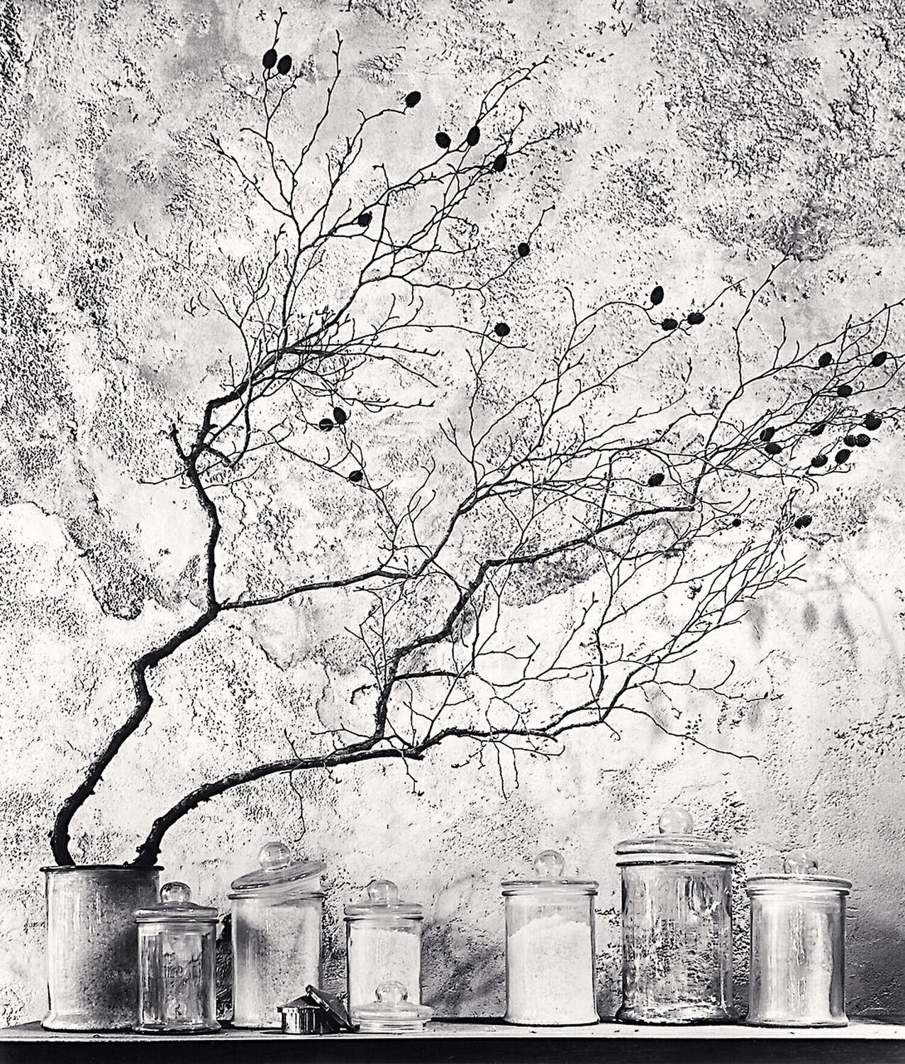 Branch and Berries, Tokyo, Honshu, Japan Michael Kenna Fotografia in vendita